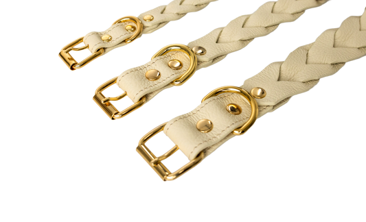 Coleira Gemelli Cappuccino