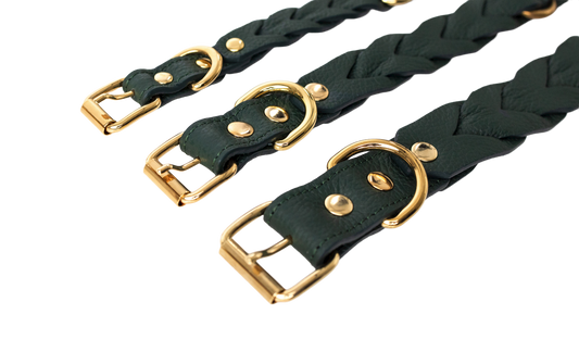 Coleira Gemelli Verdone