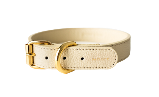 Coleira Basic Cappuccino