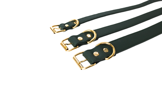 Coleira Basic Verdone